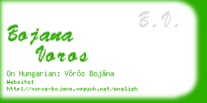 bojana voros business card